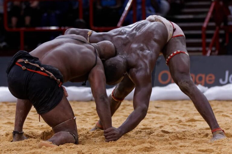 Lutte sénégalaise : histoire d&rsquo;un sport de combat devenu phénomène de société
